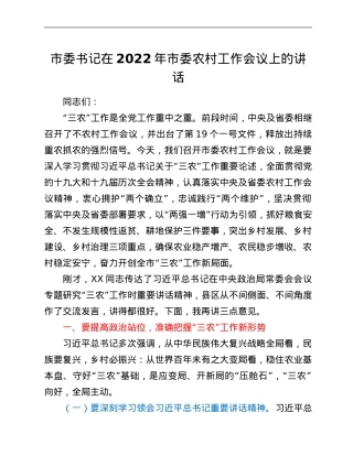 市委书记在2022年市委农村工作会议上的讲话.Doc