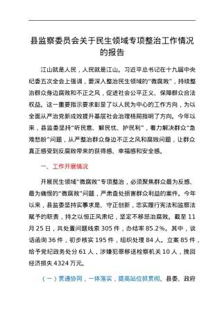 县监察委员会关于民生领域专项整治工作情况的报告.docx