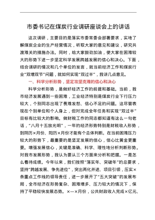 市委书记在煤炭行业调研座谈会上的讲话.doc