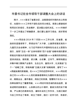 市委书记在全市领导干部调整大会上的讲话.docx