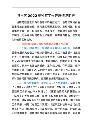 县市区2022年巡察工作开展情况汇报.doc