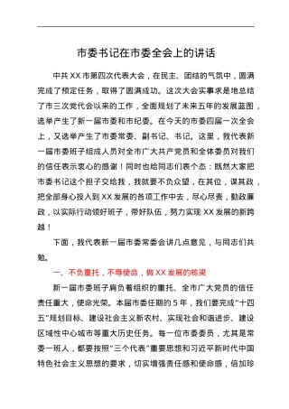 市委书记在市委全会上的讲话.docx