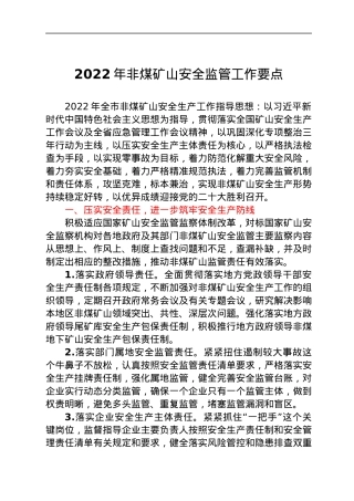 2022年非煤矿山安全监管工作要点.docx