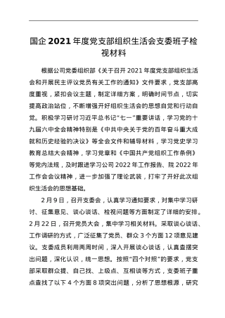 国企2021年度党支部组织生活会支委班子检视材料.docx