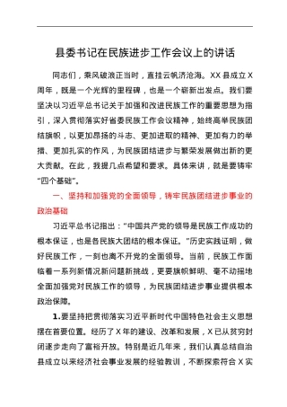县委书记在民族进步工作会议上的讲话.docx