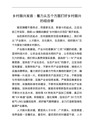乡村振兴发言：着力从五个方面打好乡村振兴的组合拳.doc