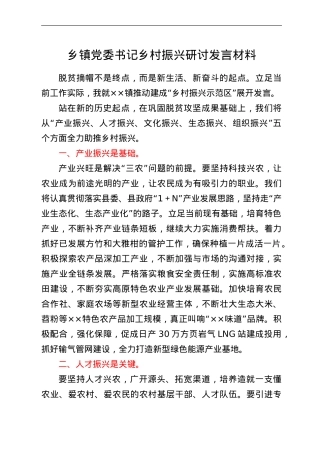 乡镇党委书记乡村振兴研讨发言材料.doc