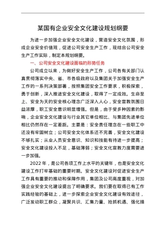 某国有企业安全文化建设规划纲要.doc