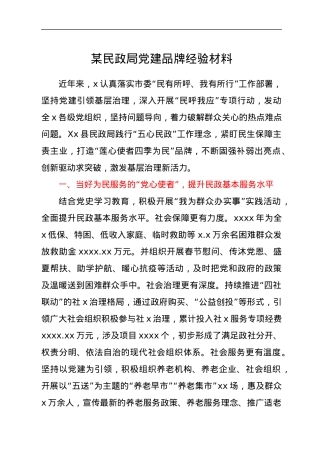 某民政局党建品牌经验材料.docx