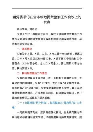 乡镇书记在耕地抛荒整治工作会议上的发言.docx