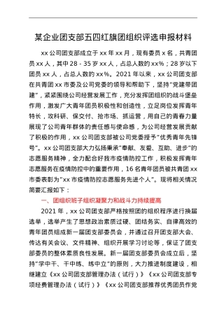 某企业团支部五四红旗团组织评选申报材料.doc