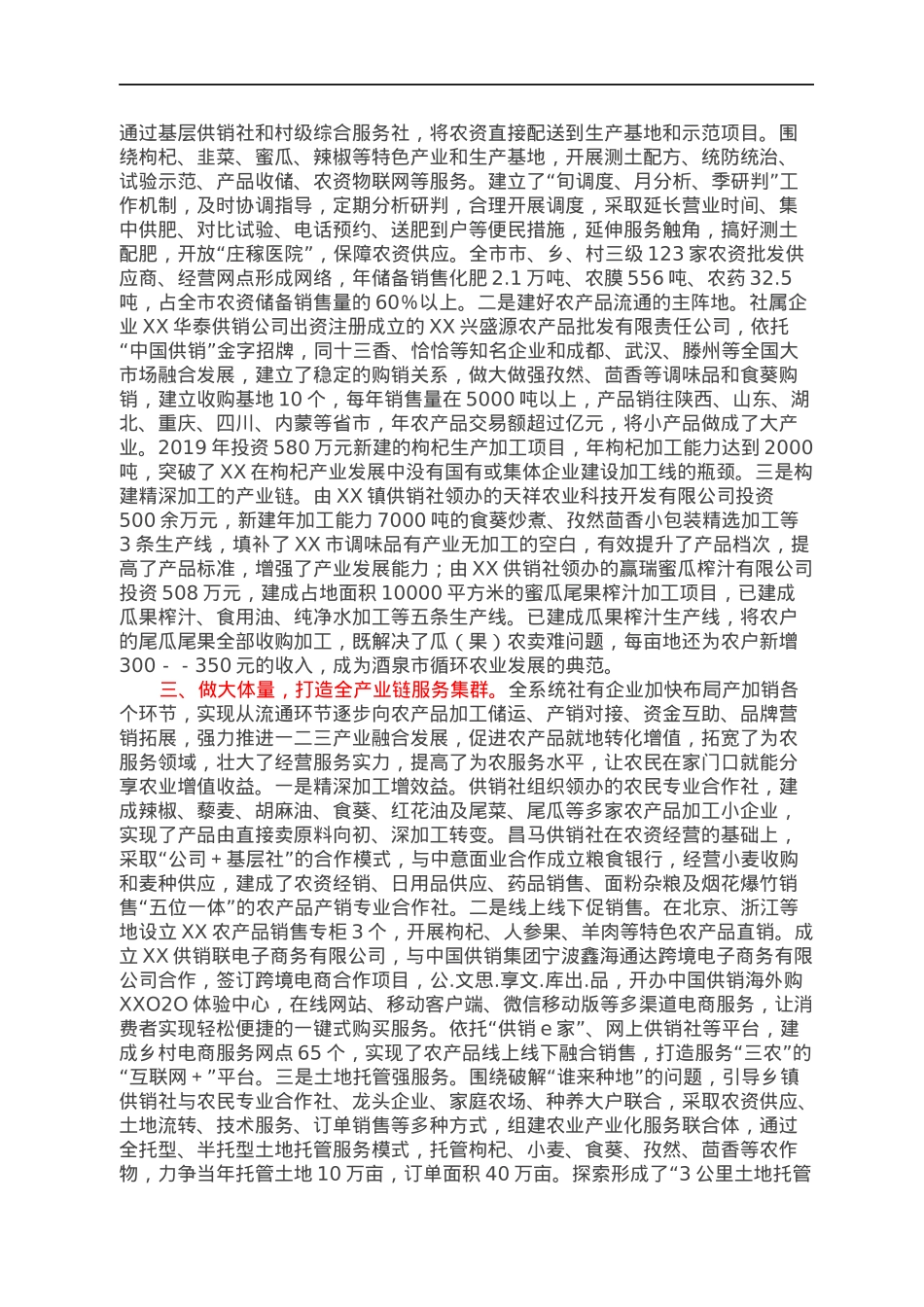 强服务做大体量，聚合力抱团发展——XX市积极探索供销集团化发展模式.docx_第2页