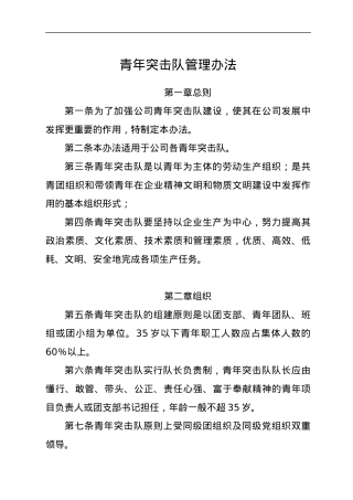 青年突击队管理办法.docx