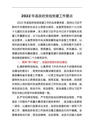 2022年县政府党组党建工作要点.doc