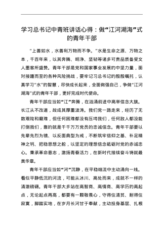 学习总书记中青班讲话心得：做“江河湖海”式的青年干部.doc