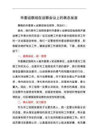 巡察工作表态发言.doc
