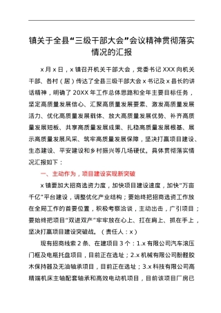 镇关于全县“三级干部大会”会议精神贯彻落实情况的汇报.docx