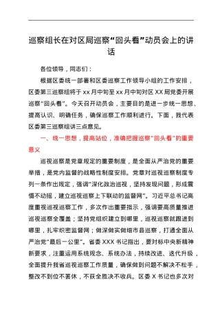 巡察组长在对区局巡察“回头看”动员会上的讲话.docx