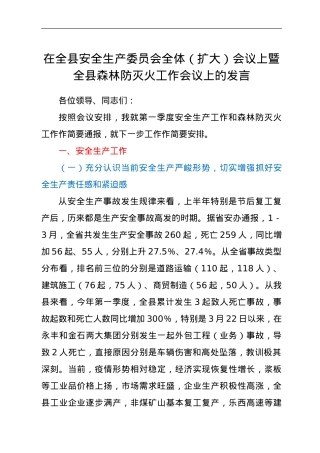 应急局局长在第二次安全生产委员会第二次全体（扩大）会议上的讲话.doc
