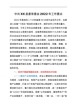 中共XX县委常委会2022年工作要点.docx