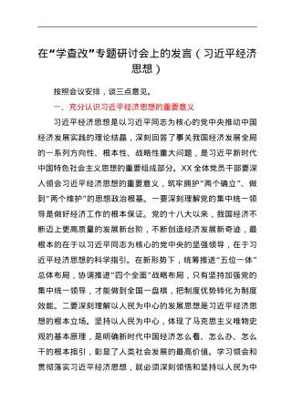 在“学查改”专题研讨会上的发言（习近平经济思想）.docx