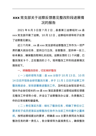 xxx党支部关于巡察反馈意见整改阶段进展情况的报告.docx