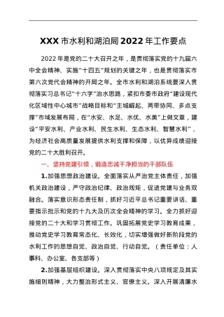 XXX市水利和湖泊局2022年工作要点.docx