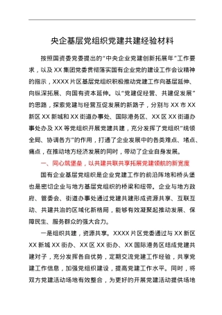 央企基层党组织党建共建经验材料.doc