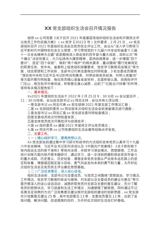 XX党支部组织生活会召开情况报告.docx