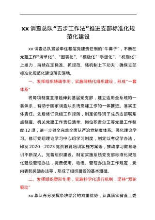支部标准化规范化建设经验材料.docx