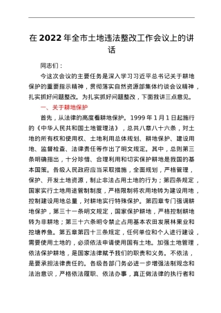 在2022年全市土地违法整改工作会议上的讲话.doc