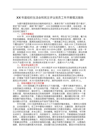 XX年度组织生活会和民主评议党员工作开展情况报告.docx
