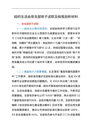 组织生活会党支部班子述职及检视剖析材料.docx