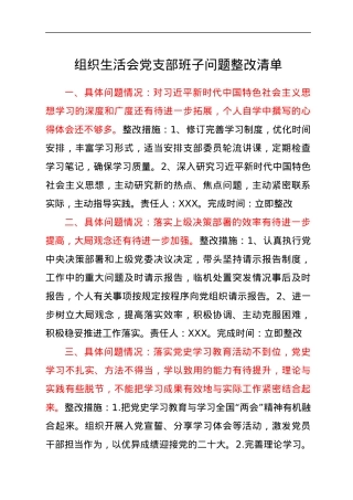组织生活会党支部班子问题整改清单.docx