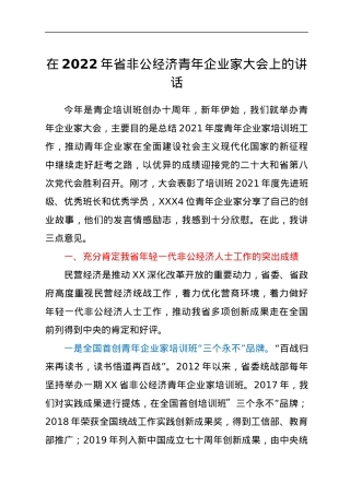 在2022年省非公经济青年企业家大会上的讲话.docx