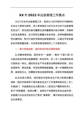 XX市2022年应急管理工作要点.docx