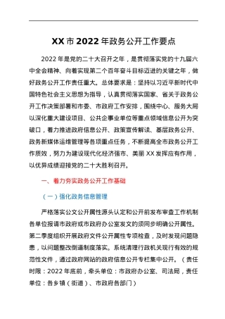 XX市2022年政务公开工作要点.docx