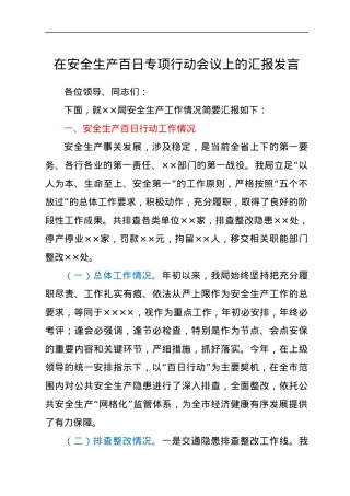 在安全生产百日专项行动会议上的汇报发言.docx