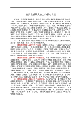 在产业发展大会上的表态发言.docx