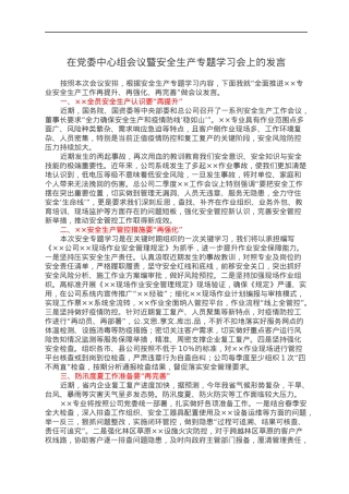 在党委中心组会议暨安全生产专题学习会上的发言.docx