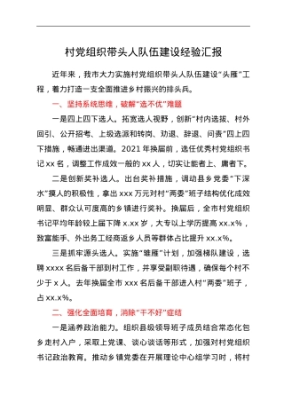 村党组织带头人队伍建设经验汇报.docx