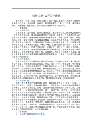 村级三务公开工作报告.docx