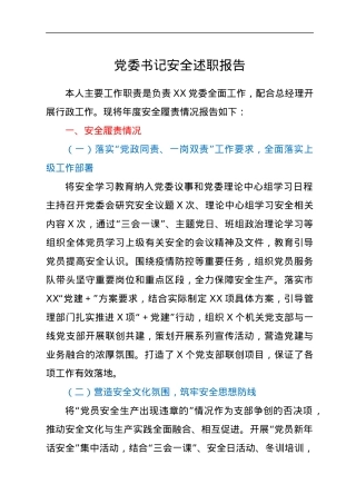 党委书记安全述职报告.docx