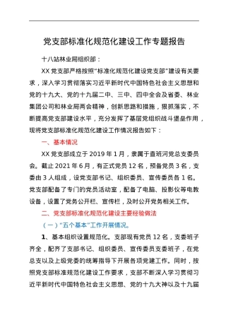 党支部标准化规范化建设工作专题报告.docx