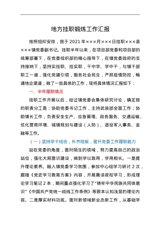 地方挂职锻炼工作汇报.docx