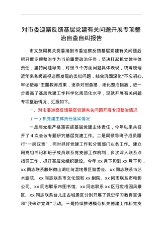 对市委巡察反馈基层党建有关问题开展专项整治自查自纠报告.docx