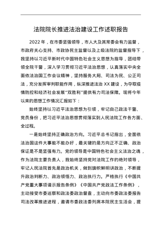 法院院长推进法治建设工作述职报告.docx