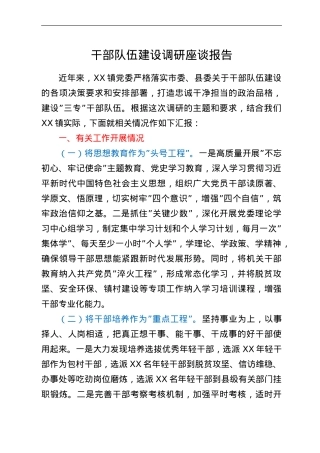 干部队伍建设调研座谈报告.doc
