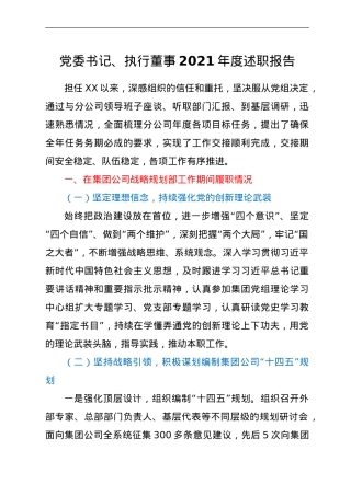 公司党委书记、执行董事2021年度述职报告.doc