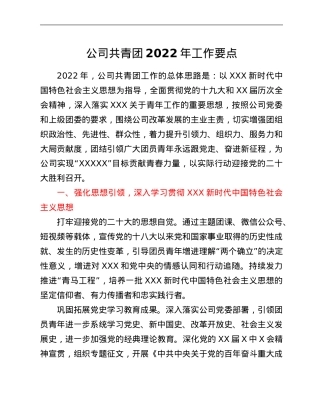 公司共青团2022年工作要点.Doc